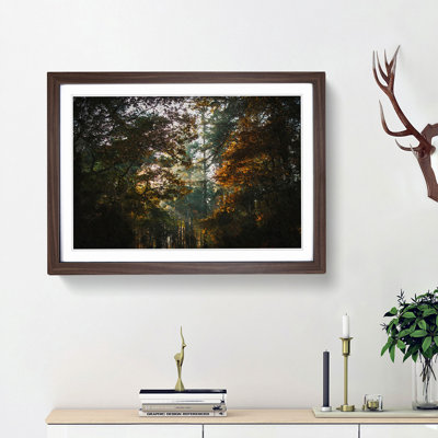A Magical Forest - Framed Print