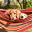 Pure Garden Hammock with Stand, Blue/Red Stripe-956433992
