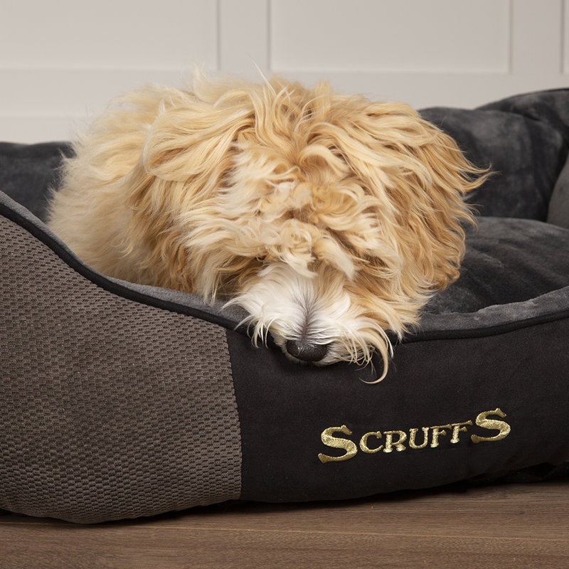 Chester Polyester Pet Bed, Graphite/Grey, 16cm H x 50cm W x 40cm D