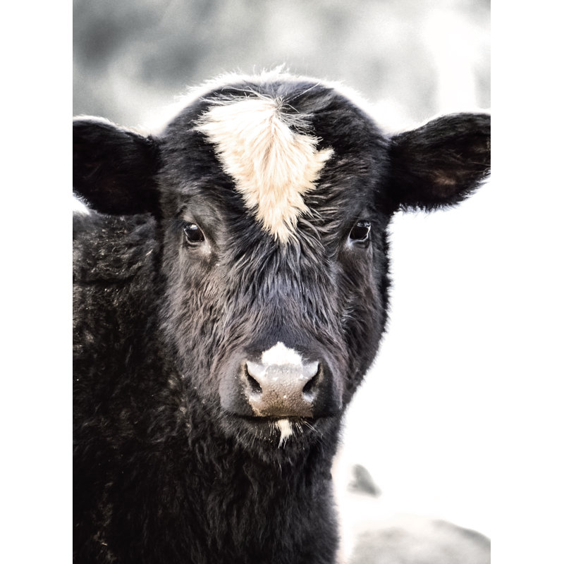Petite vache - imprimé, H 30 po x l 20 po