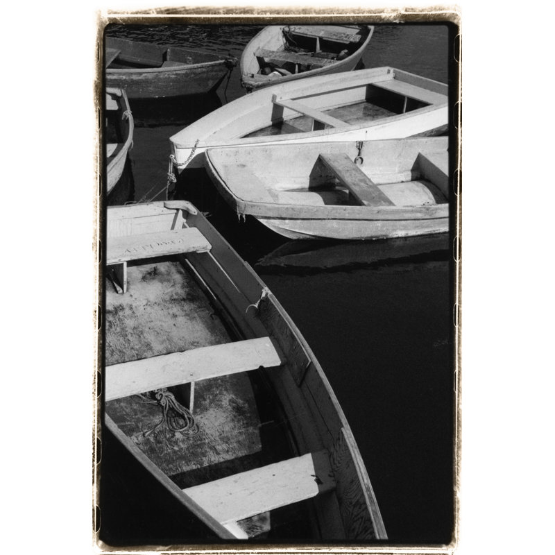 5 At Rest by Laura DeNardo - Print on Canvas, 122cm H x 81cm W, Black Floater Framed