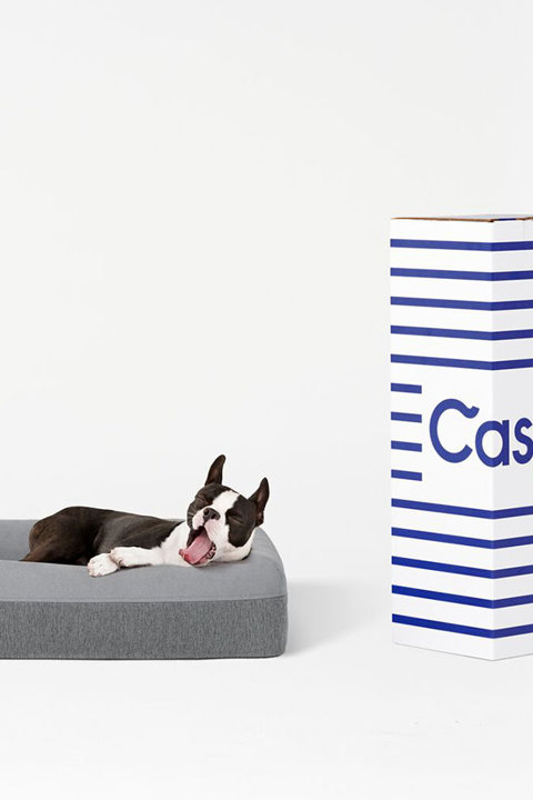 Shop Dog Beds