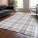 Machine Washable Indoor/Outdoor Chayden ACN1052 Rug