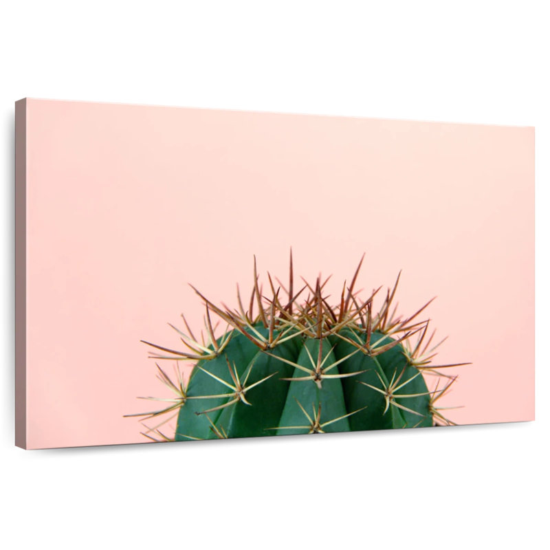 Harnek Simple Cactus, 16" H x 24" W