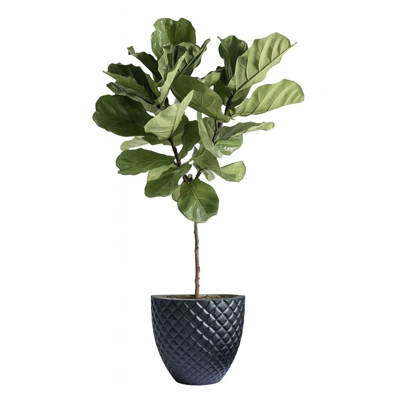 Pot à fleurs fait à la main Winderst, H 18 po x l 20 po x P 20 po, Noir