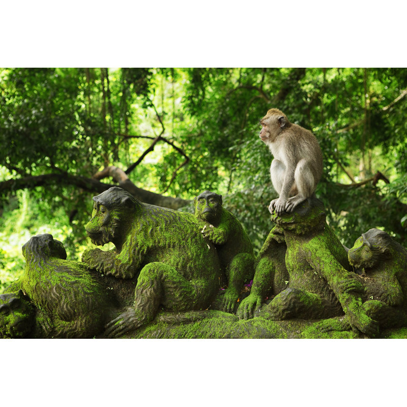 Macaque In Monkey Forest by Tunart - No Frame Print on Canvas, 61cm H x 91cm W