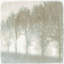 Mystic Morning I Print by Mari Urasawa-26773601-26773605