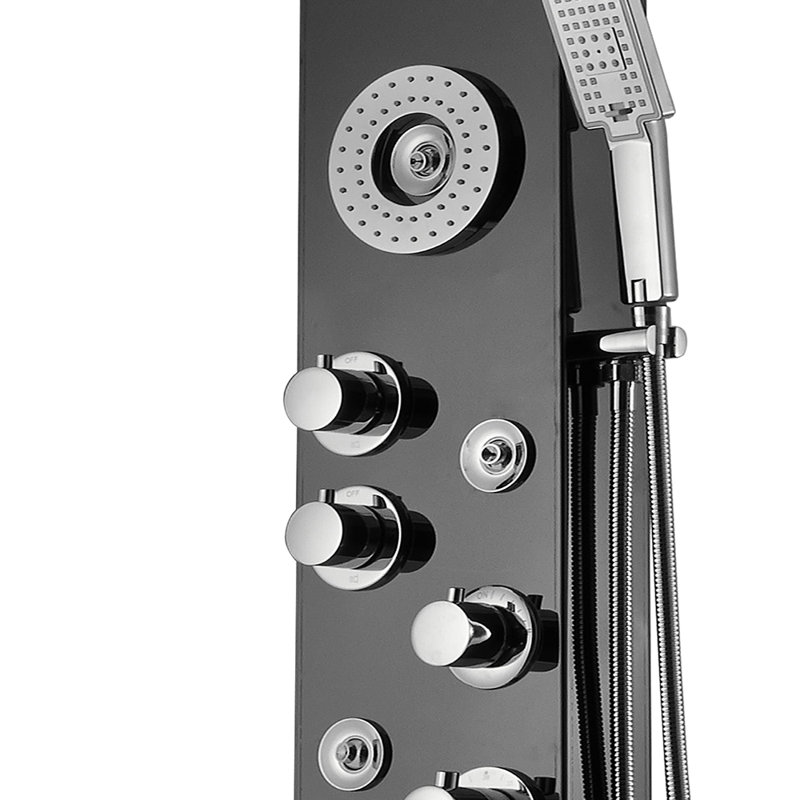 Panneau de douche 59 po avec pomme de douche double, Noir brossé