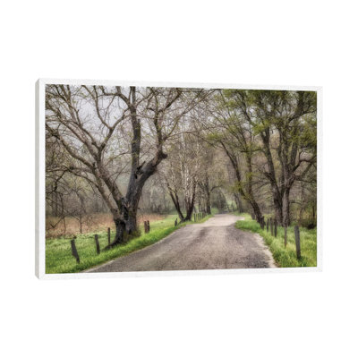 Late Afternoon Walk 1 Piece Wall Art on Canvas