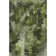 Cerrito Area Rug with Non-Slip Backing