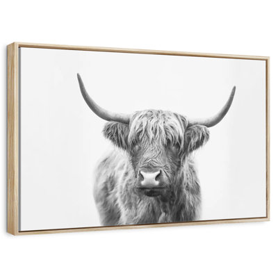 Highland Bull I