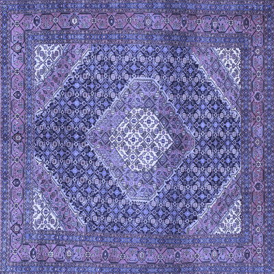 Oriental Indoor Rug