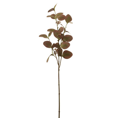 Eucalyptus Arrangement