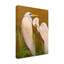 Art mural sur toile tendue - "Mated Great Egrets" par Barbara Fallenbaum pour décoration de salon, de chambre à coucher ou de bureau - 14 x 19