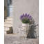 Plant Stand VETCH 58 cm Metal Off-White