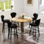 Black Swivel Bar Stool with Backrest and Footrest