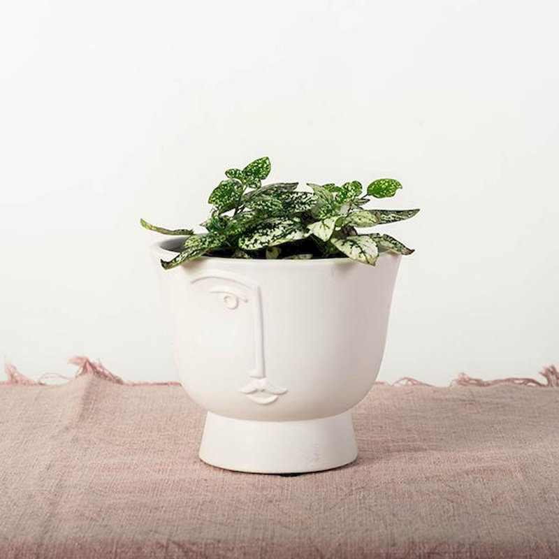 Edieth Cement Cachepot, 4.75" H x 5.75" W x 5.75" D
