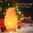 Himalayan Salt Lamp with Dimmer Switch, Handcrafted with Wooden 6-7 lbs