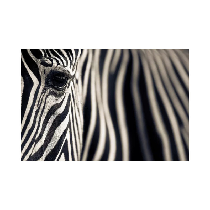 Eye And Stripes by Mario Moreno - Wrapped Canvas Print, 66.04 cm H x 45.72 cm W x 1.91 cm D