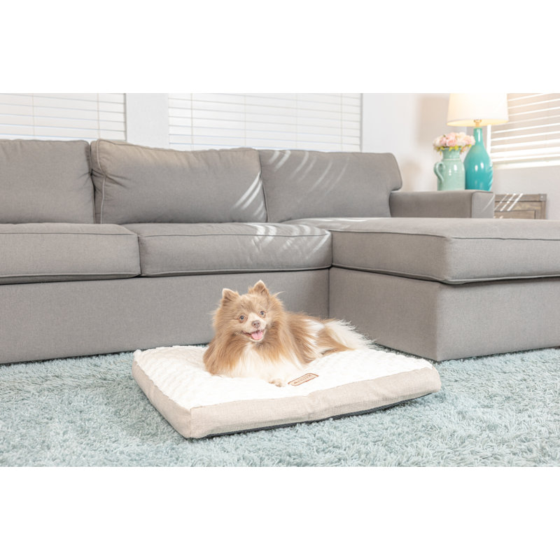 Tapis texturé pour chien avec poignée de transport, Moyen (l 22 po x P 28 po x H 5 po)