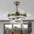 Idaline 42'' Retractable Ceiling Fan with LED Lights and Remote