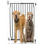 Wilkinsburg Metal Pet Gate Accessory-235869983