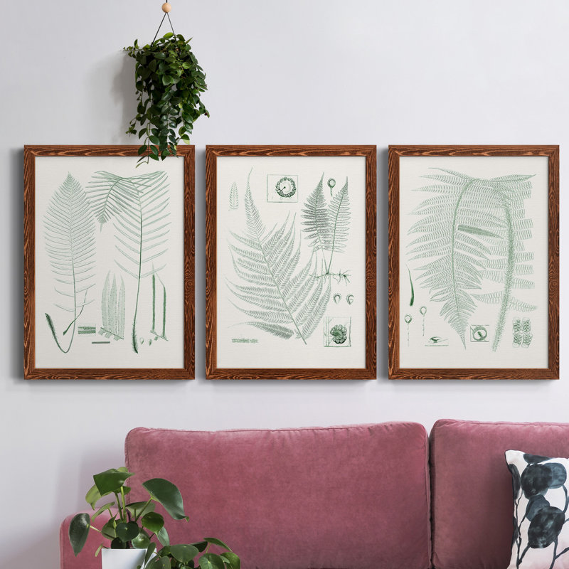 Verdure Ferns VII - ensemble de 3 peintures sur toile encadrées, H 43,5 po x l 31,5 po x P 1 po, Érable