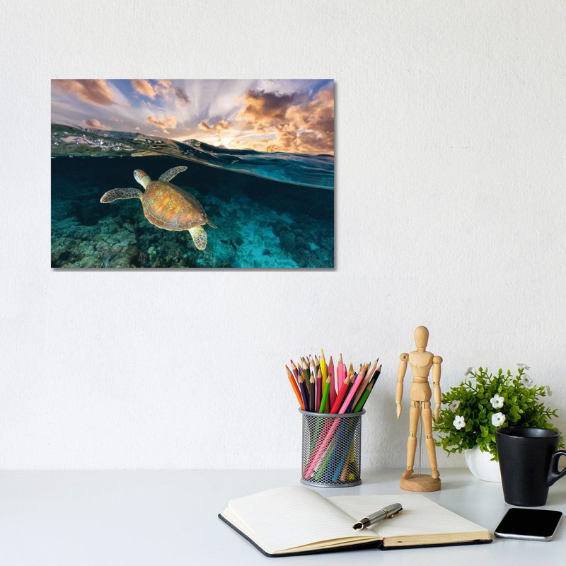 Be Free by Jordan Robins - Print on Canvas, No Framed, 20.32 cm H x 30.48 cm W