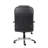 Pellegrino Executive Chair with Headrest-1769596500