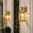 Amal 1-Light Brass Outdoor Sconce