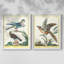 Pastel Birds III - reproduction encadrée de qualité supérieure - prête à être accrochée - aucun clou requis - aucun clou requis-686838244-686838264