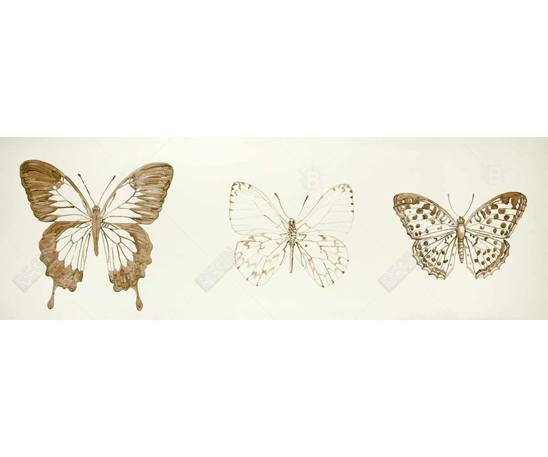 " Butterflies Sketch "