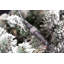 Lighted Artificial Christmas Tree-1462809155