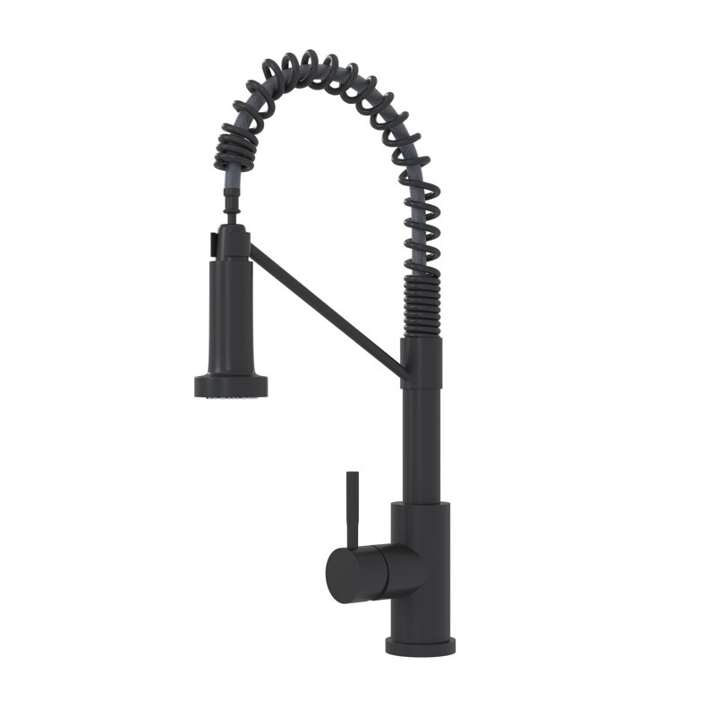 Bothwa Home CUPC Certified 19" Single Handle Kitchen Faucet (Matt Black Finish), Matte Black