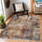 Rajshri Abstract Indoor Rug-1886269045