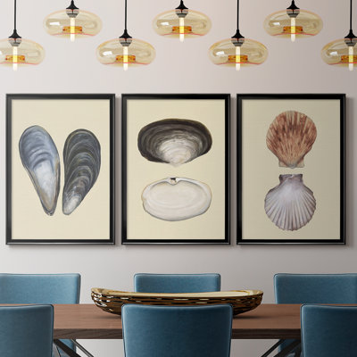 Bivalve Shells I - Toile tendue avec châssis sur mesure - 3 pièces