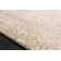Erasmo Oriental Indoor Rug