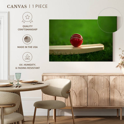 Sireci Cricket Ball On Bat