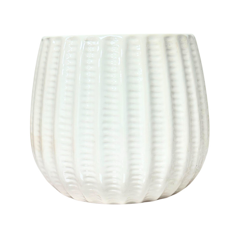 Boîte à fleurs 5,5 po en céramique, pot à fleurs en céramique, plante , Crème, crème