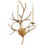 Chapman & Myers Branch Sconce-51180758