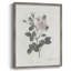 Impression florale vintage encadrée CXLV - bois massif-1042057297