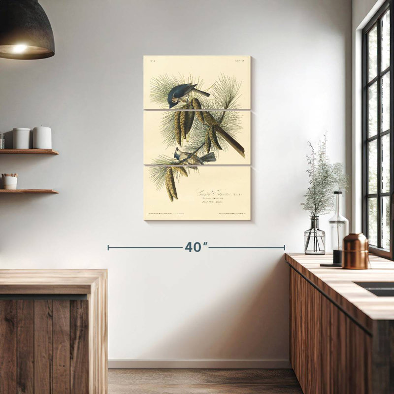 Brampt Crested Titmouse, 38" H x 24" W