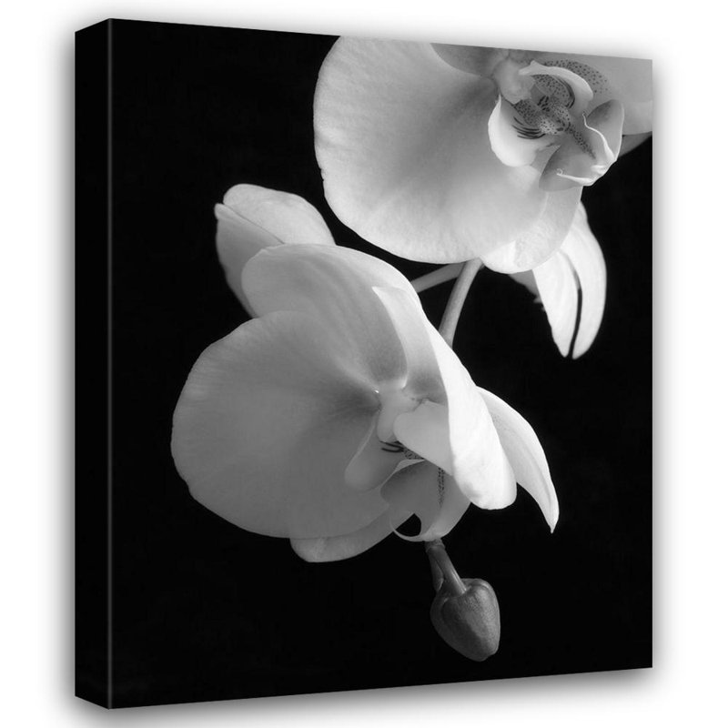 Art sur toile, Dianne
