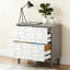 Classeur 2 tiroirs, armoire de rangement spacieuse