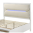 Elisa Tarian Upholstered Headboard