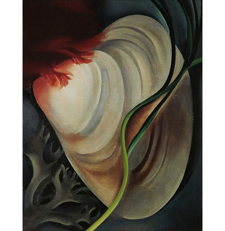 Shell No 2, 24" H x 19" W