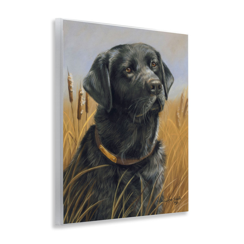 «Black Lab in Nature» par Victoria Schultz