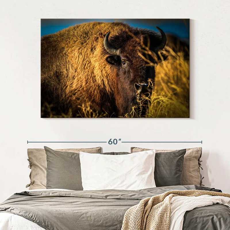 Brampt Grazing American Buffalo, 34" H x 51" W