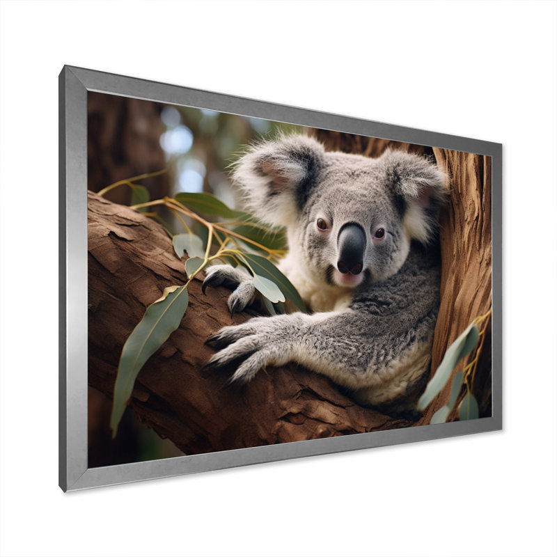 Australie, Koala Haven I, reproduction d'art sur toile, H 24 po x l 32 po x P 1 po, Cadre photo argenté