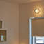 1 - Light Flush Mounted Sconce